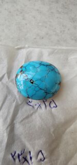 نگین فیروزه شجر - تصویر 3