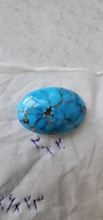 نگین فیروزه شجر - تصویر 3