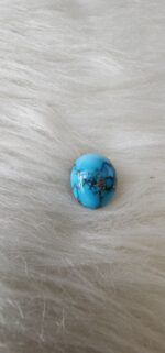 نگین فیروزه شجر