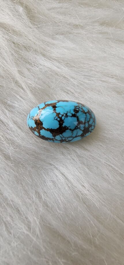 نگین شجر نیشابوری