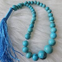 IMG_20251013_120320_672